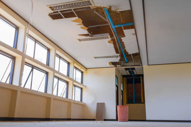 Best Mold removal after water damage  in Tallapoosa, GA