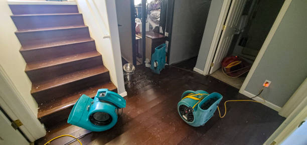 Best Water damage cleanup near me  in Tallapoosa, GA