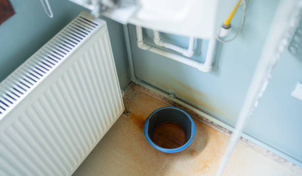 Best Water damage cleanup near me  in Tallapoosa, GA