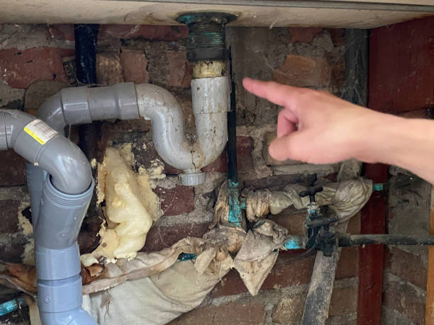 Best Basement water damage restoration  in Tallapoosa, GA